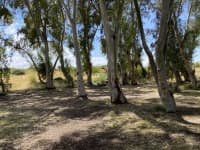 חוזרים לחיים